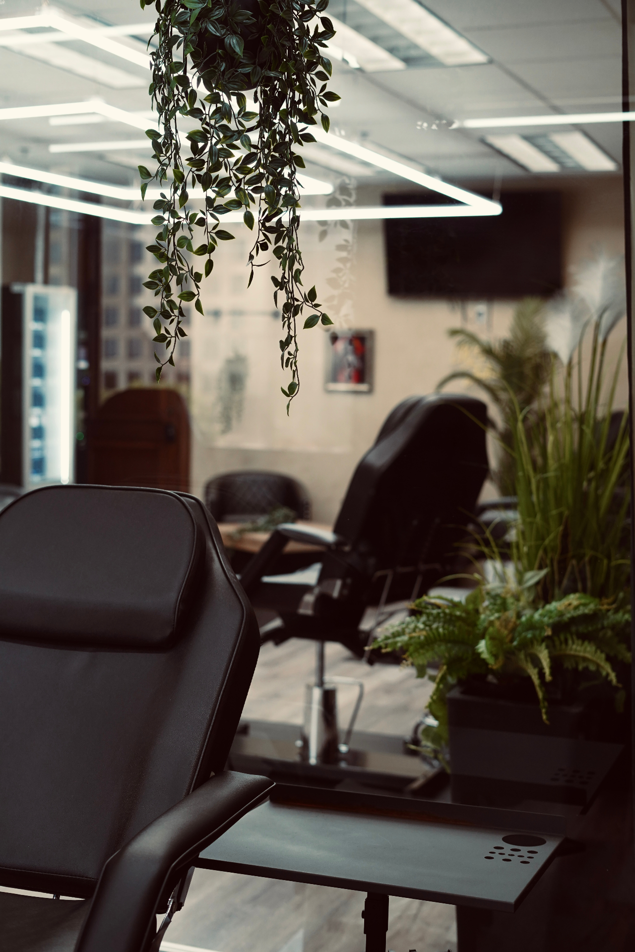 LION'S STUDIO — plants and detail